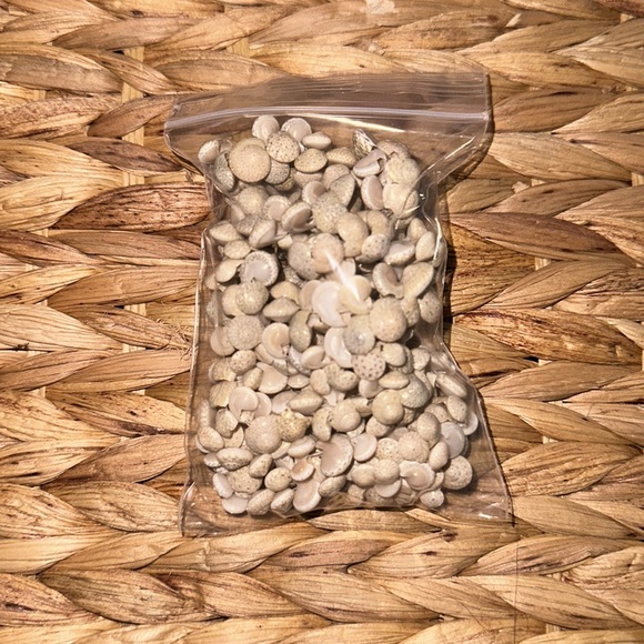 shell necklaces pm for more info or to bundle - Picture 2 of 5